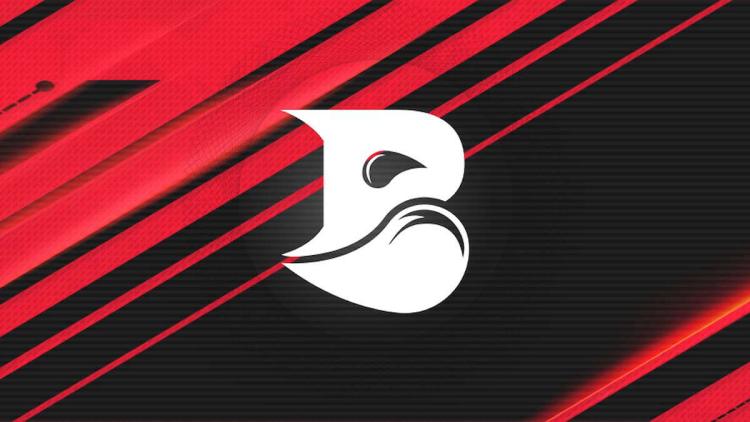 Bleed eSports están interesados en comprar el equipo Virtus.pro