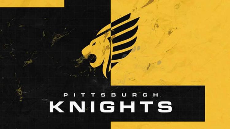 Zineel se convirtió en un nuevo jugador Knights, reemplazando a ZPS