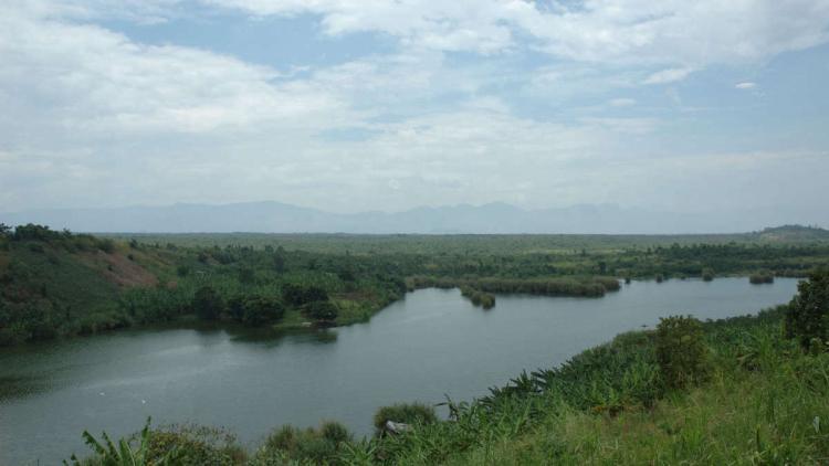 El Parque Nacional del Congo lucha contra la escasez de dinero a través de la minería BTC