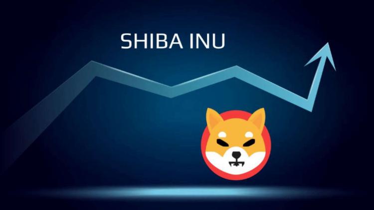 Acumulación de memes - Las ballenas compraron 2,500,000,000,000 Shiba Inu por día