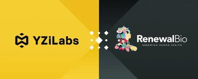 YZi Labs invierte en Renewal Bio: Un paso revolucionario en medicina regenerativa para superar la escasez de órganos