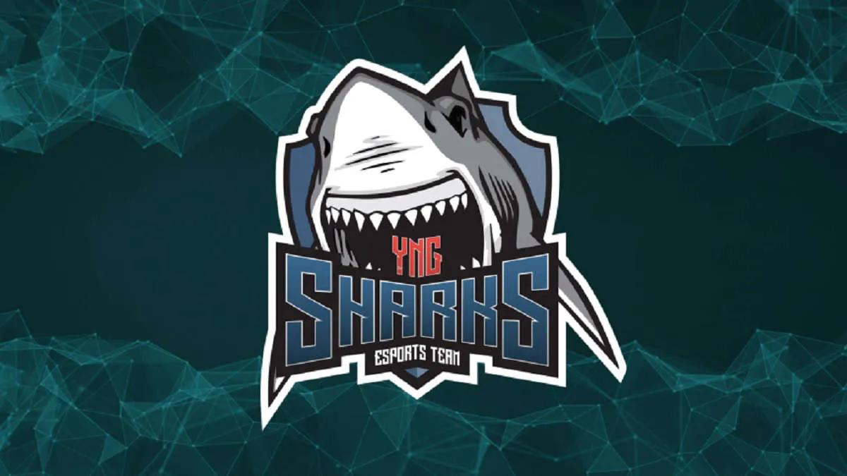 Rumores: rdnzao se convertirá en un nuevo jugador Sharks Esports