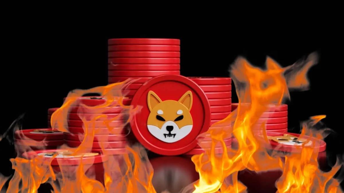 Se han quemado más de 48 000 000 Shiba Inu en las últimas 24 horas