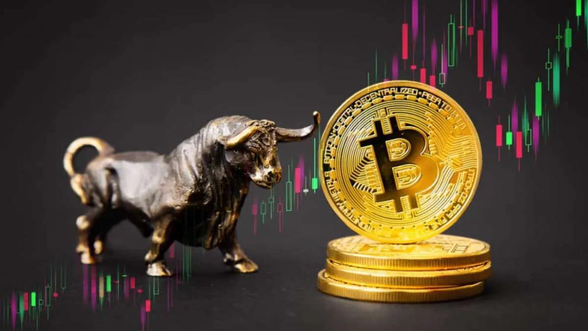 Fundador XOR strategy: "Bullrun BTC comienza aquí"