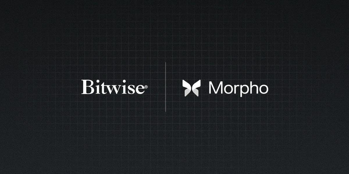 Bitwise lanza una bóveda en cadena en colaboración con Morpho