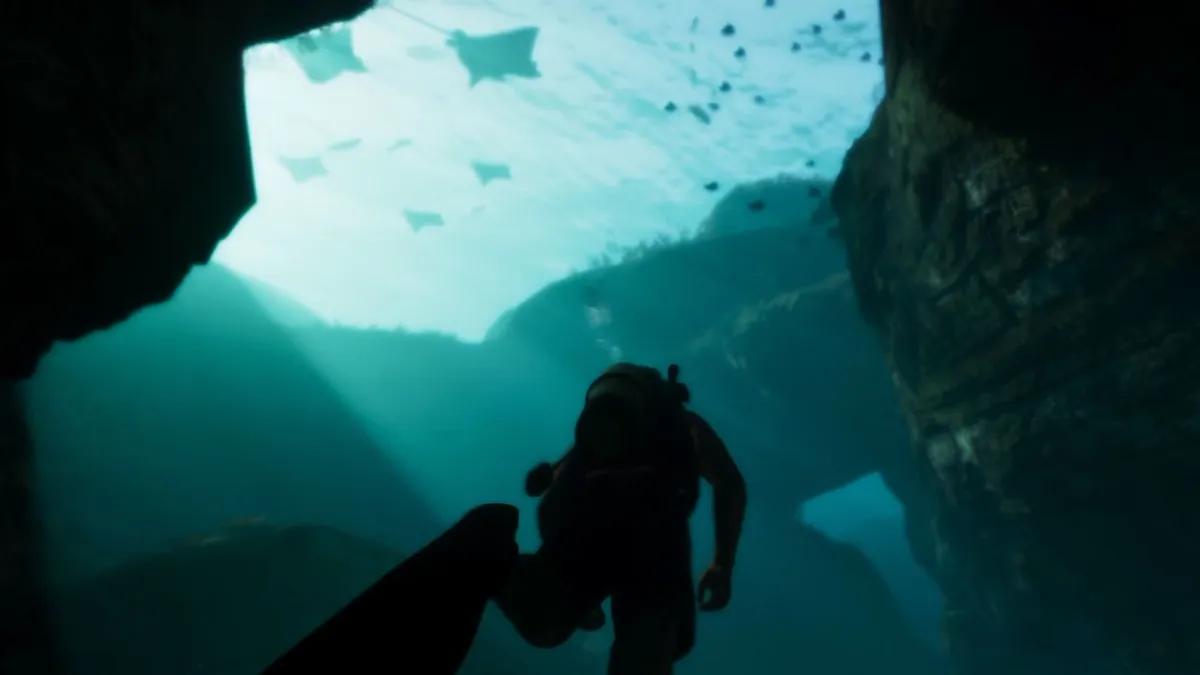 En GTA 6 podría aparecer su propia versión del Miami Seaquarium