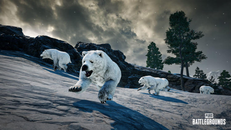 Los osos polares, una nueva mira y el balance de armas actualizado son el registro de cambios del parche 22.1 de PUBG. Foto 1