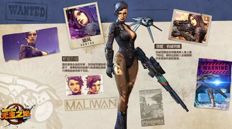 Los archivistas de Borderlands se apresuran a salvar el MMO perdido antes de que desaparezca para siempre.