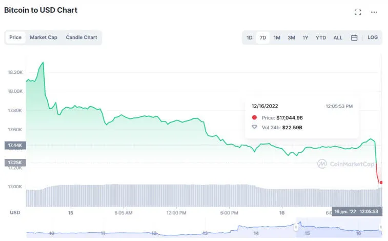 Bitcoin cae a $ 17,000. Photo 1